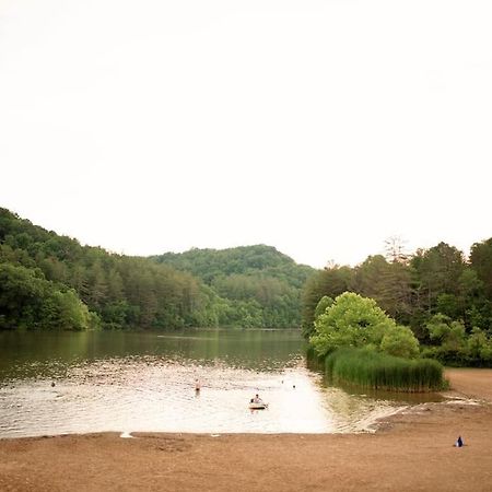 Tiny House Strouds Run Lake Daire Athens Dış mekan fotoğraf